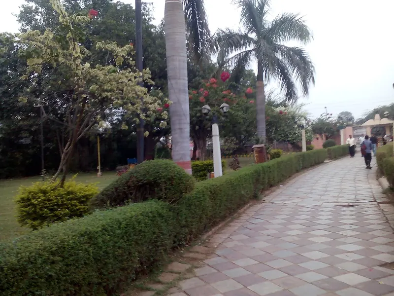 Palm-lined walkway in Chambal Garden, Kota
